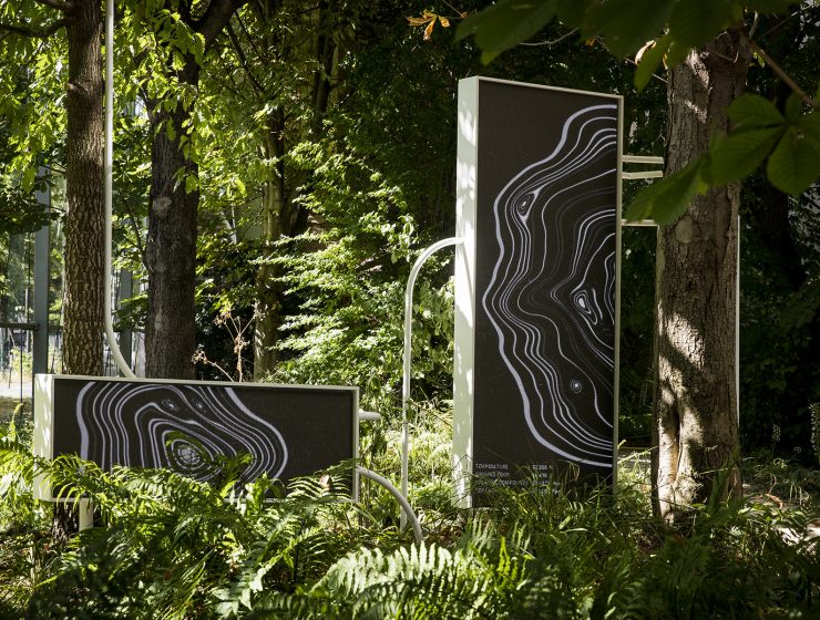 Tree ring digital art installation